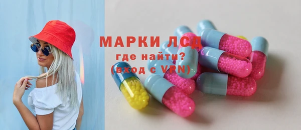 стаф Аркадак