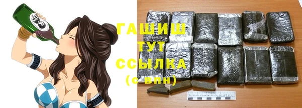 стаф Аркадак